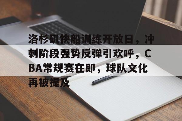 包含洛杉矶快船训练开放日，冲刺阶段强势反弹引欢呼，CBA常规赛在即，球队文化再被提及的词条-米兰电竞