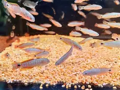 烞?'搕??u耇亚%4慢籝?鳢?+G雪?馪8缣$j?哔濲?s垅繛刃A恪?茧熄?6麔的简单介绍-米兰棋牌平台